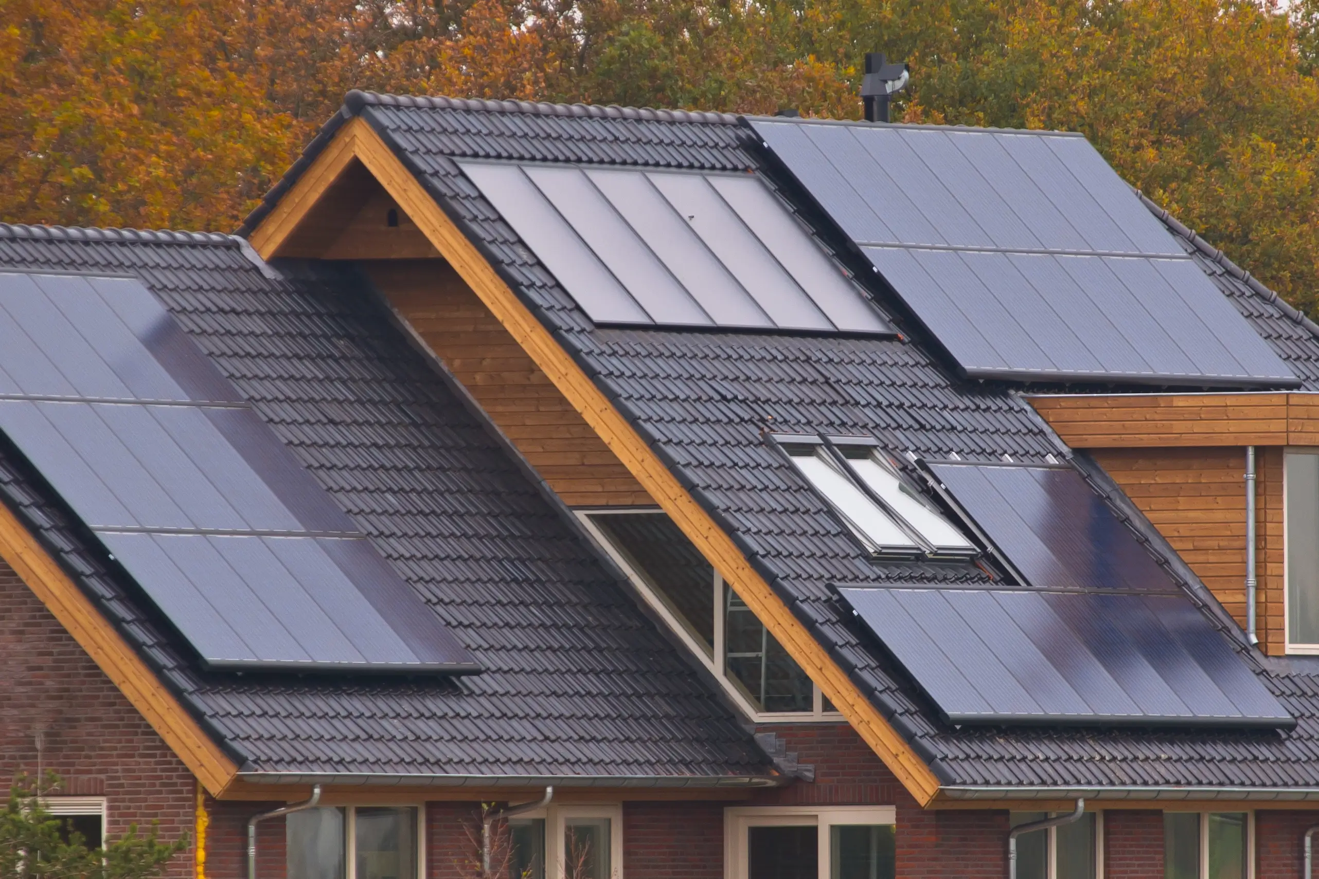 PV-Anlage kaufen oder mieten? Der große Vergleich