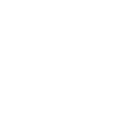 direkt vor Ort:  - Icon